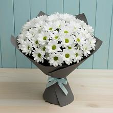 Букет цветов из:  Хризантемы #REPLACE_PRED# Островном