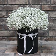 Цветочная композиция из Гипсофила в шляпной коробке в Островном