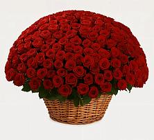 Премиум букет из: Розы в Островном